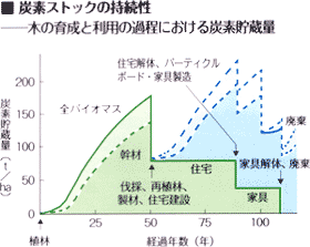 グラフ(炭素ストックの持続性)